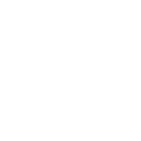 Title Alt tag